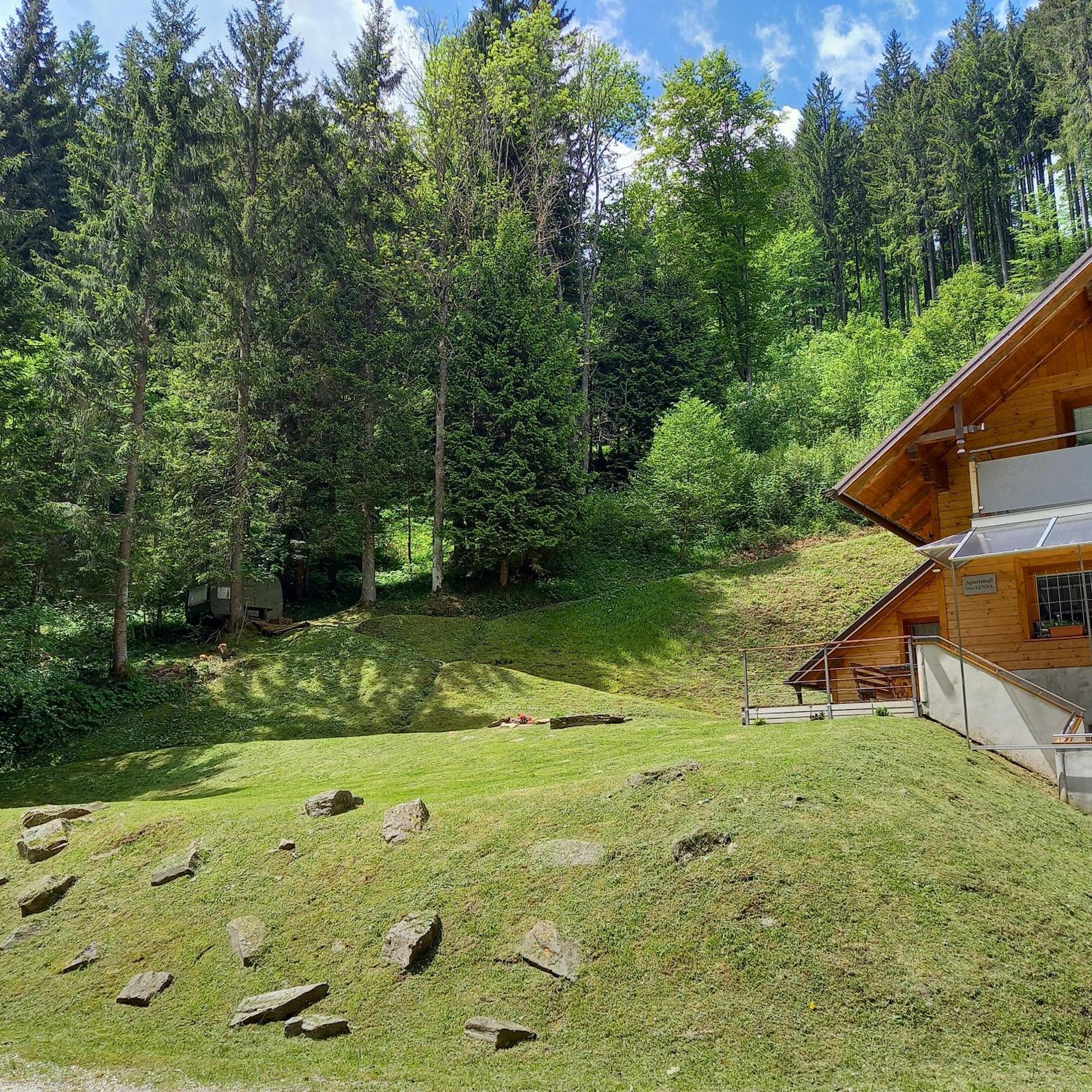Vitanje Hisa Lunna - Apartments In A Forest Paradise מראה חיצוני תמונה